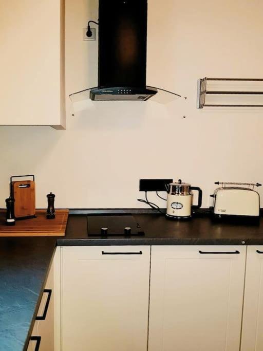 Komfortables Apartment Im Zentrum Erfurts Luaran gambar