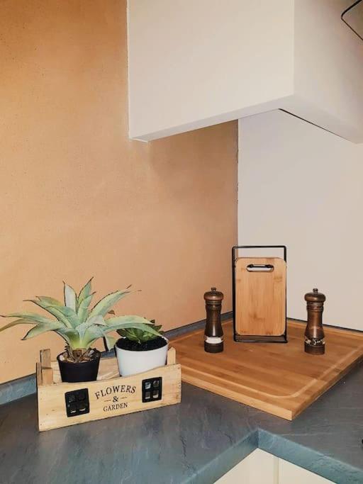 Komfortables Apartment Im Zentrum Erfurts Luaran gambar