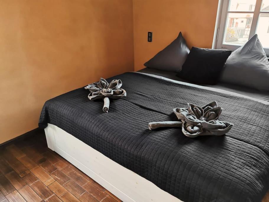 Komfortables Apartment Im Zentrum Erfurts Luaran gambar